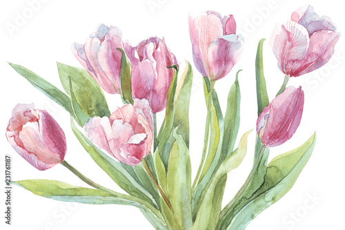 Canvas Print watercolor flowers tulips separately