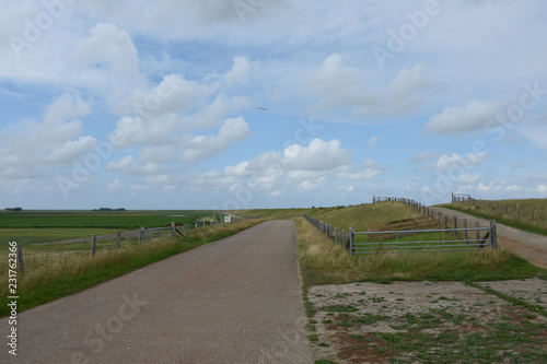 weg met hek op de dijk van van Texel aan de Waddenzee