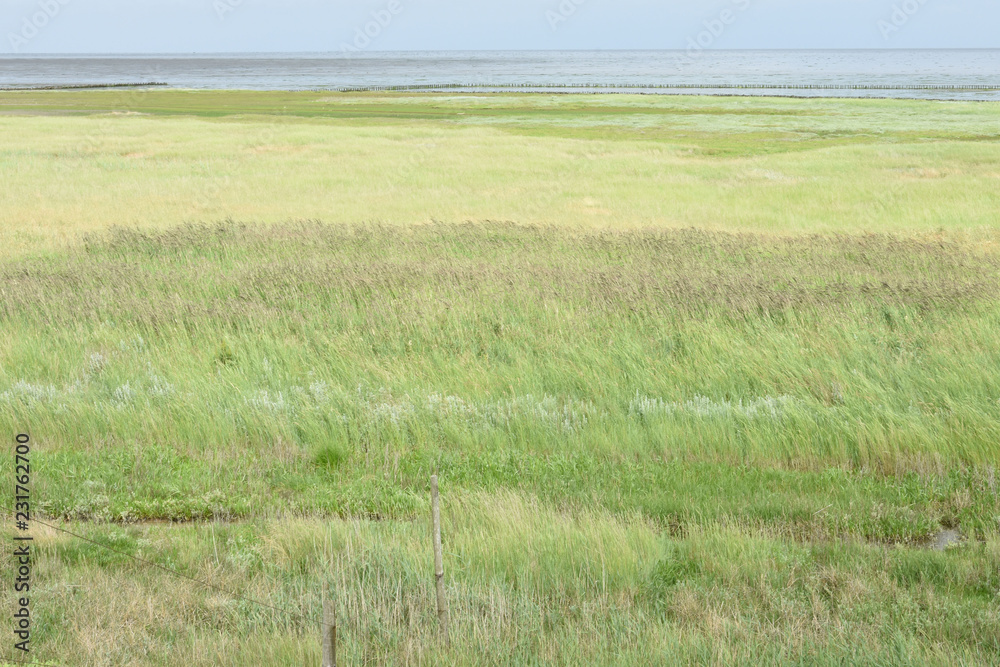 Obraz premium uitzicht op de Waddenzee vanaf de dijk van eiland Texel