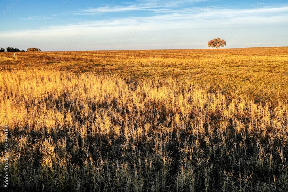 Herbst in Franken. Deutschland. Einsamer Baum vor weitem Himmel inmitten von Feldern. Herbst in Franken. Deutschland. Einsamer Baum vor weitem Himmel inmitten von Feldern.