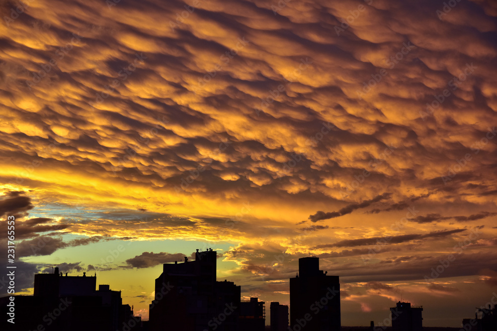 sunset over the city