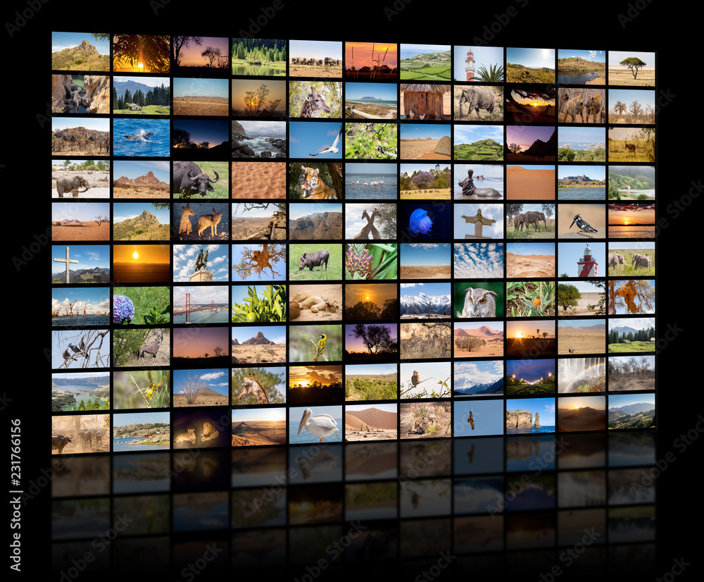 A variety of images of Landscapes and Animals as a big image wall, documentary channel A variety of images of Landscapes and Animals as a big image wall, documentary channel