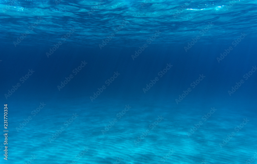 Fototapeta premium underwater ocean. storm. Mystic.