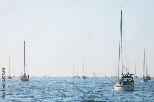 Sailboat in an international yacht race on open water photo