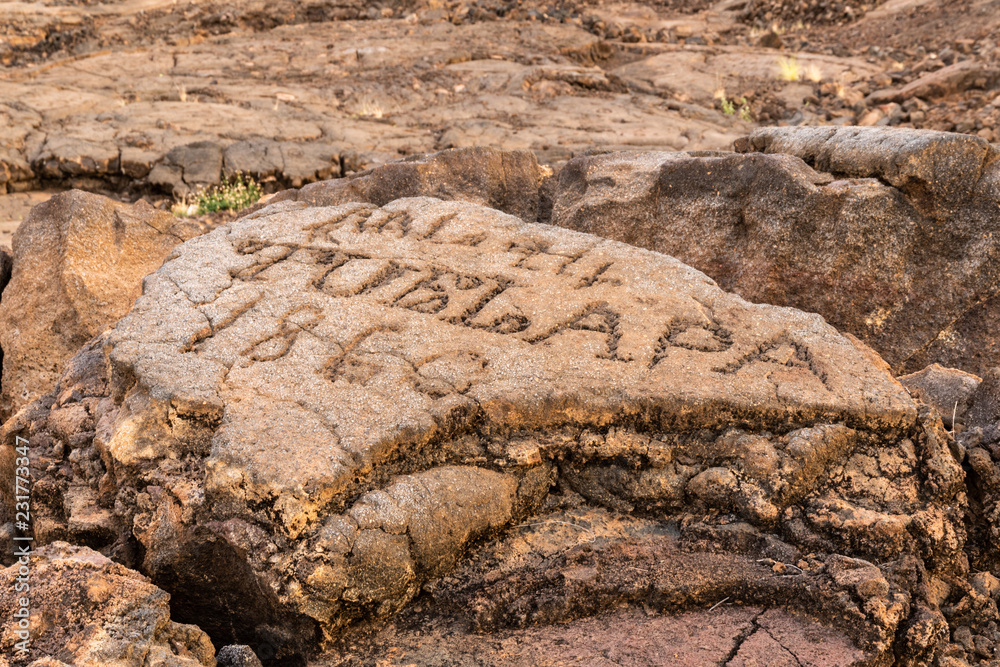 Petroglyphs in Waikoloa Field, on the King's Trail (