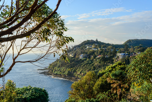 headland at Whale Beach/Avalon, Sydney photo