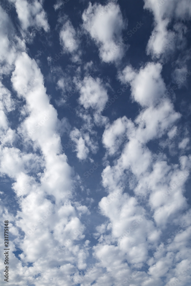 Fototapeta premium Cloudy blue sky. Background texture.