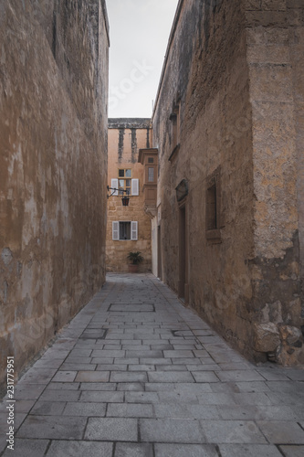 The old town of Mdina  Malta