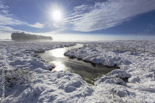 Landscape with Snow photo