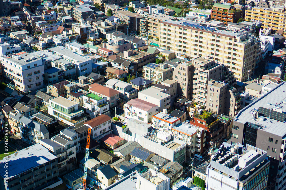 Fototapeta premium Tokyo cityscape on a sunny day