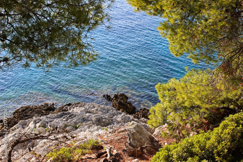 Sea bay fragment surrounded by rocks and trees background