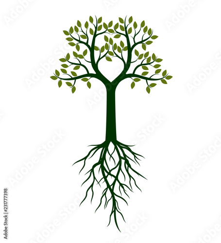 Green shape of  Tree. Vector Illustration.