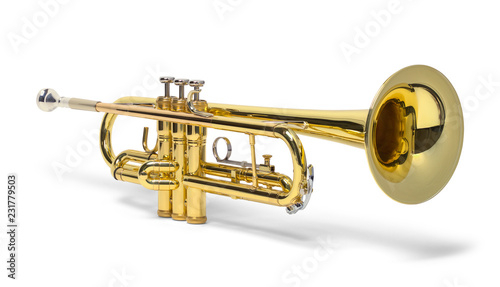 Trumpet Brass