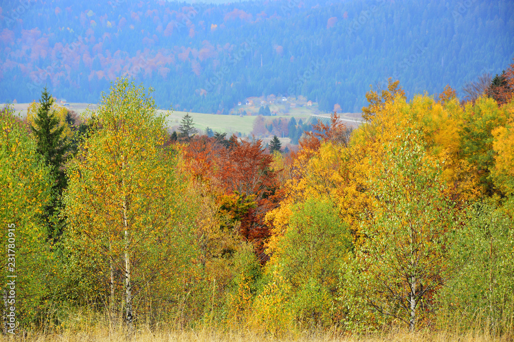 Autumn Landscape Background