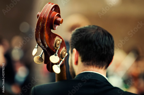 Acoustic double bass player - Classic Jazz