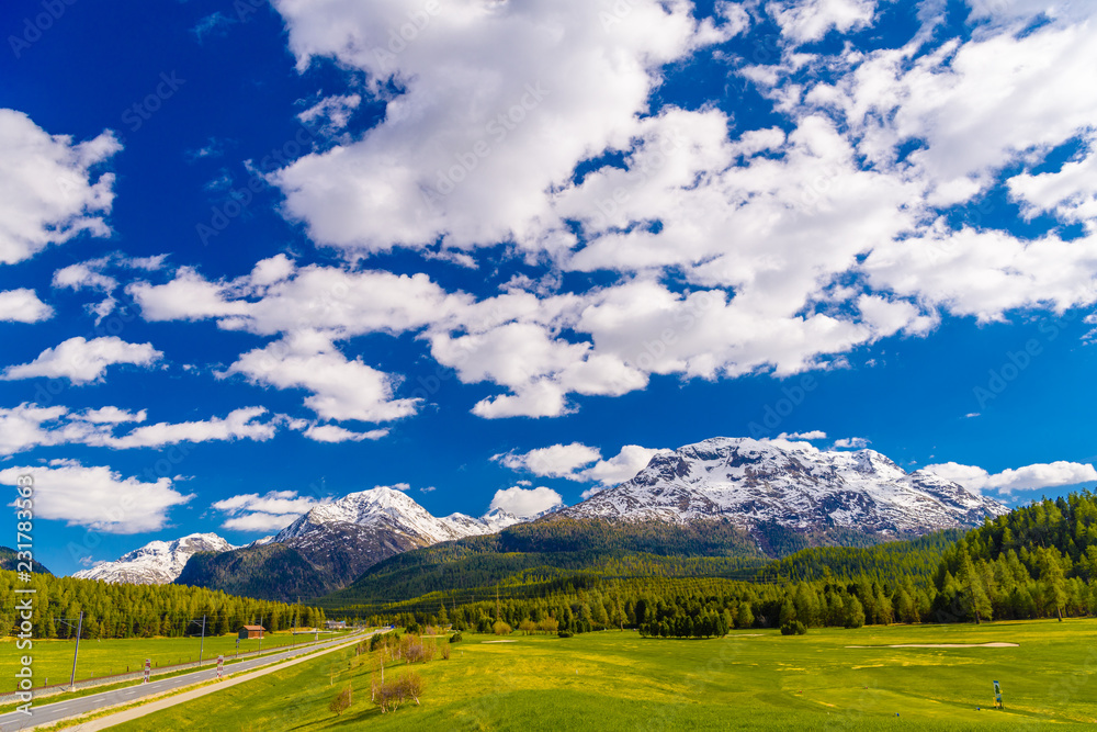 Green fields and Alps mountains coevered with forest, Samedan, M Green fields and Alps mountains coevered with forest, Samedan, M