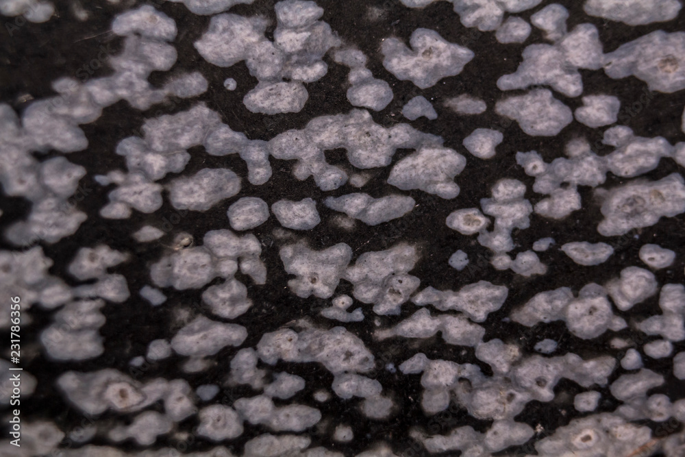 Naklejka premium Snowflake obsidian stone, texture background