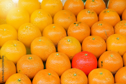 Closeup of row of some oranges with one  Red orange in a conceptual idea about , be different and Stand out from the crowd, be yourself and follow your heart not others. speak up.