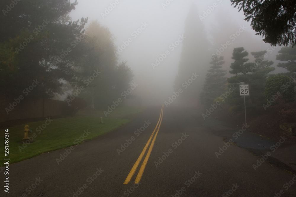 Suburban neighborhood street on a foggy morning. Lake Oswego, Oregon. Suburban neighborhood street on a foggy morning. Lake Oswego, Oregon.