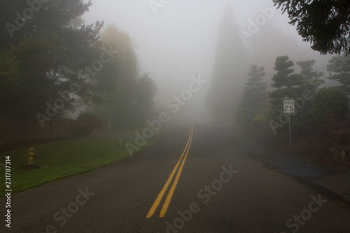 Suburban neighborhood street on a foggy morning. Lake Oswego, Oregon.