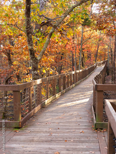 Boardwalk to Bald Ridge, Cheaha State Park, Alabama in the Autumn