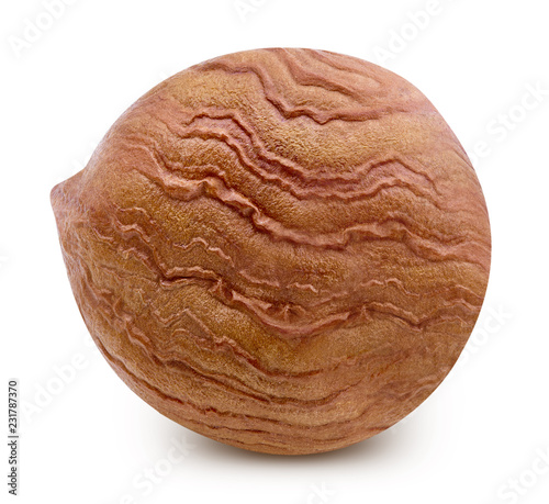 Hazelnut isolated Clipping Path