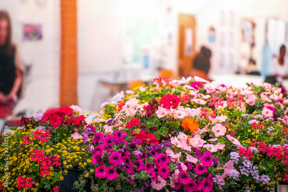 Fototapeta premium Closeup of Bunch of beautiful mixed purple and light pink with yellow flowers on a street in the city
