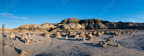 Panoramic alien landscape of the 