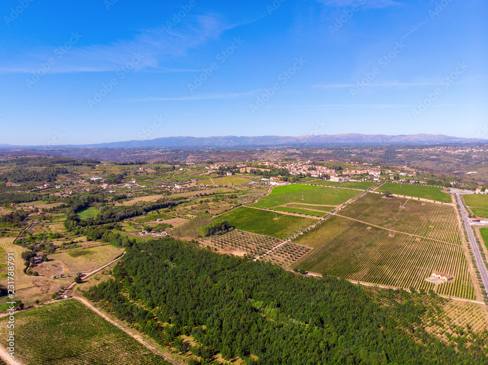 Aerial top view of vineyards landscape from above background, Portugal