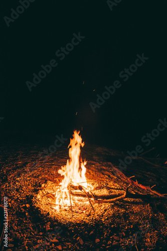 Fototapeta Naklejka Na Ścianę i Meble -  Fireplace by night