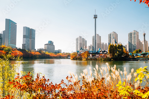 Seokchon lake and modern apartment buildings with autumn maple in Seoul, Korea