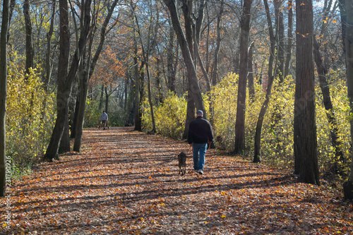 Walking a Dog among Autumn Leaves