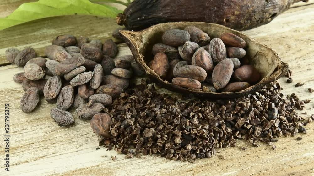 Cocoa Beans and Cocoa Fruits on wooden, Cocoa concept with raw. Cocoa Beans and Cocoa Fruits on wooden, Cocoa concept with raw.