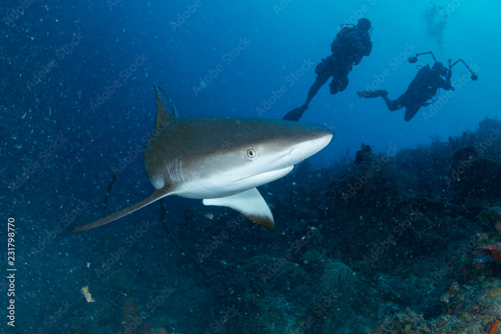 Fototapeta premium Providência