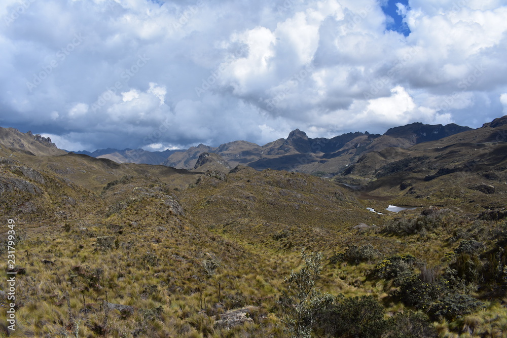 Naklejka premium beautiful landscape