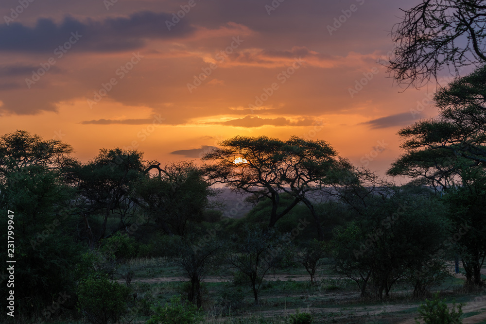 sunset in the Serengeti