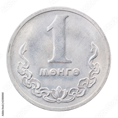 Mongolian Mungu Coin photo