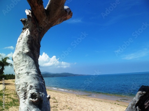 paisaje  mar  agua  naturaleza  tronco  tropical  vacaciones  horizonte  isla  cielo  color  azul  viajes  turismo.