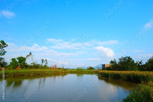 Beautiful landscape view in the wetland park in Hong Kong. photo
