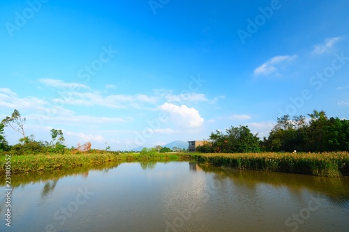 Beautiful landscape view in the wetland park in Hong Kong. © Ray