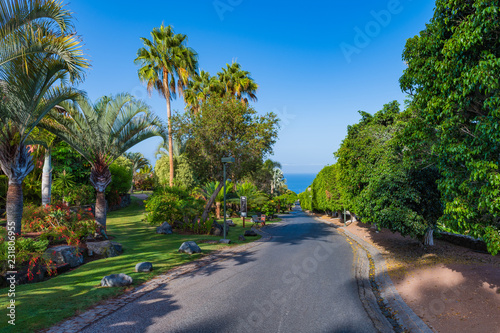 On the way to Abama Beach.Tenerife. Canary Islands..Spain photo