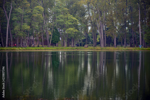 Tree reflections on the water in Presque Isle State park