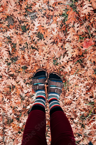 Sock and Sandals on Fall Leaves