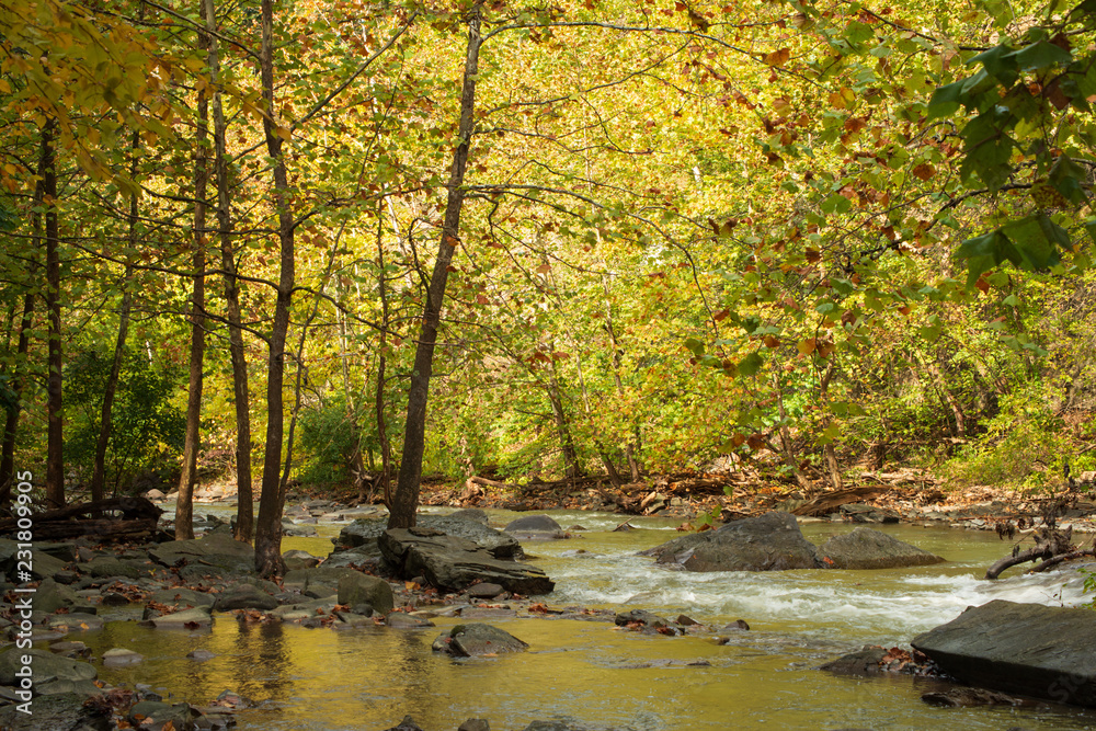 Naklejka premium Autumn view of the creek flowing among rocks