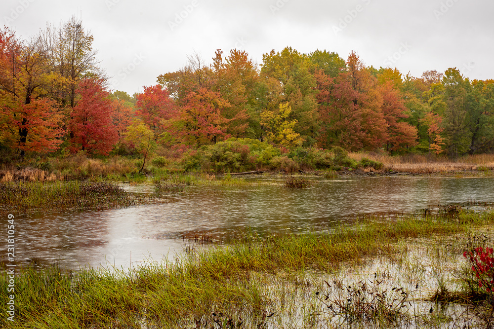 Fototapeta premium Autumn leaves frame the bird refuge