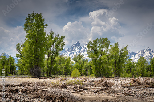 Grand Teton photo