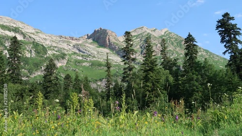 mountain