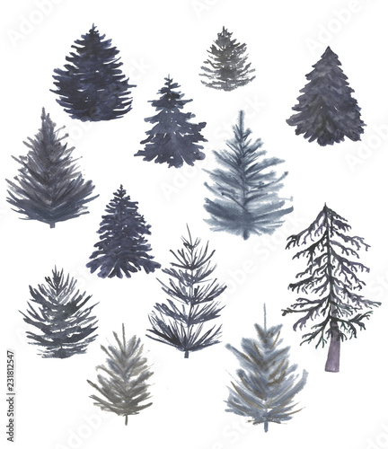 Watercolor painting set of fir trees isolated on white