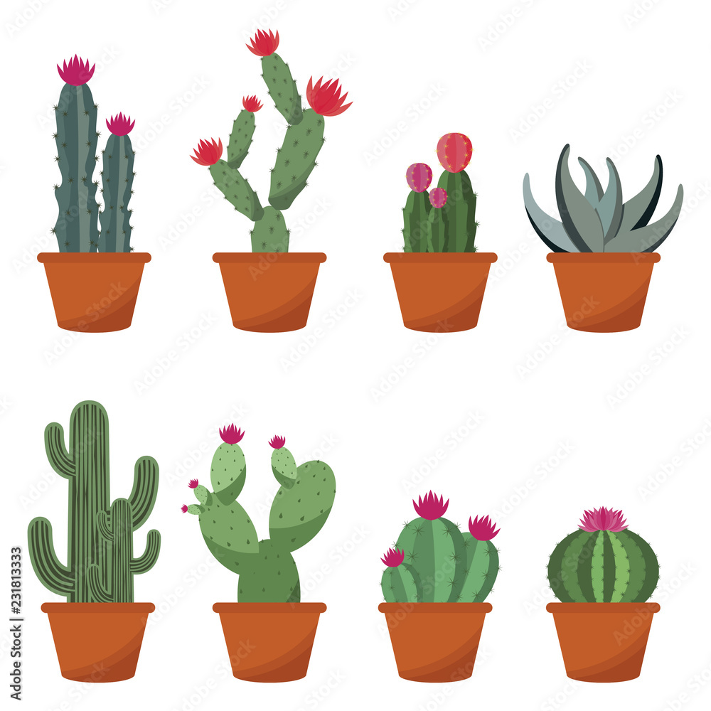zoogdier Beheer gebruiker Cute Cactus Cacti Plant Pot Flat Design Illustration Set Stock Vector |  Adobe Stock