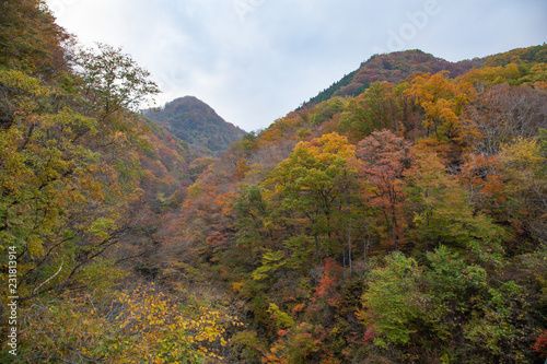 Mountains of Akiu